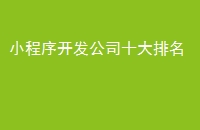 小程序开发公司十大排名