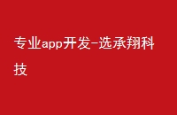 专业app开发-选承翔科技