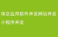 保定应用软件开发网站开发小程序开发