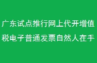 广东试点推行网上代开增值税电子普通发票自然人在手机上就可搞掂