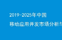 2019-2025年中国移动应用开发市场分析与投资前景研究报告